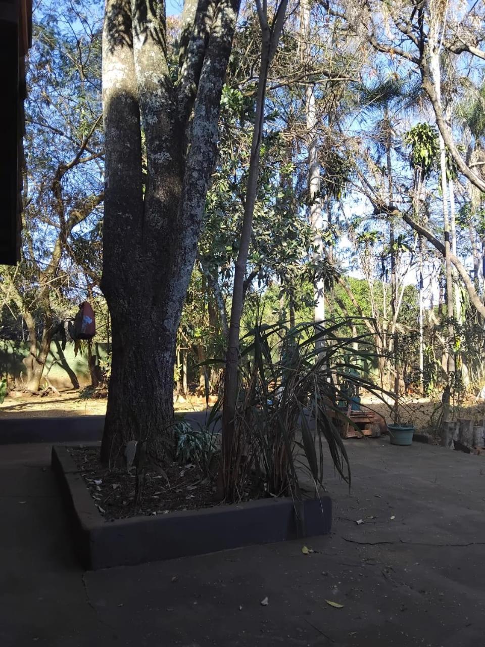 הוילה Sitio Bemtevi - Jockey Camping - Uberlândia מראה חיצוני תמונה