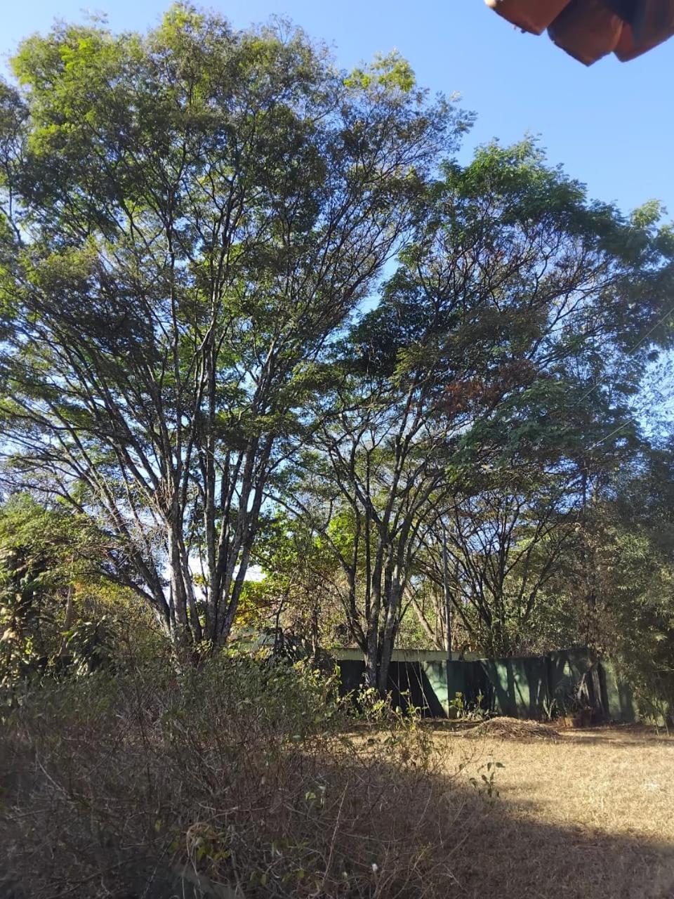הוילה Sitio Bemtevi - Jockey Camping - Uberlândia מראה חיצוני תמונה