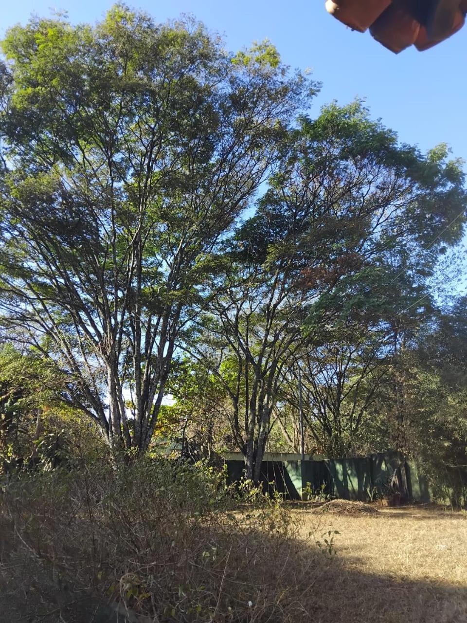 הוילה Sitio Bemtevi - Jockey Camping - Uberlândia מראה חיצוני תמונה